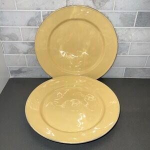 Astoria Noble Excellence Portuguese Yellow Stoneware (2) Dinner Plates 11"